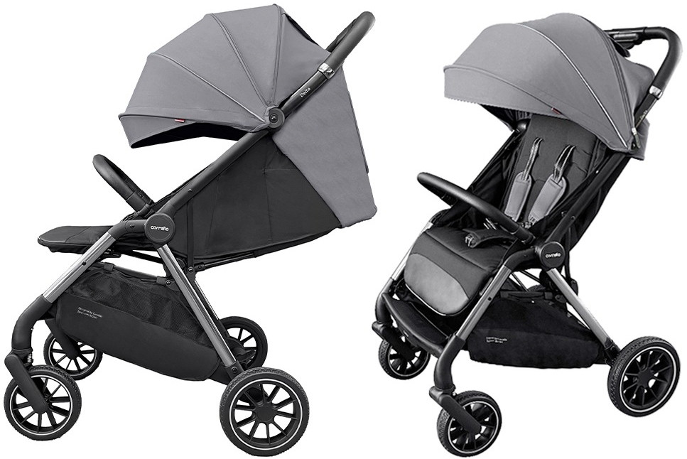 Прогулочная коляска CARRELLO Delta CRL-5517 Flint Grey un2vc97nrrkt7dr4cc303kvbf2q17wb1