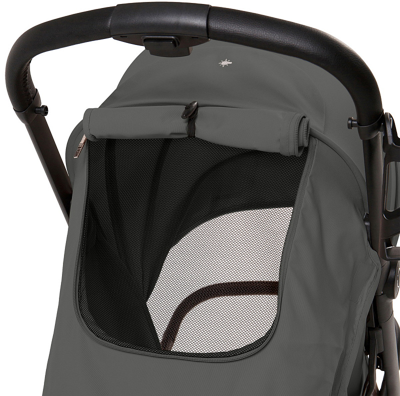 Sweet Baby Colibri Plus Dark Grey2