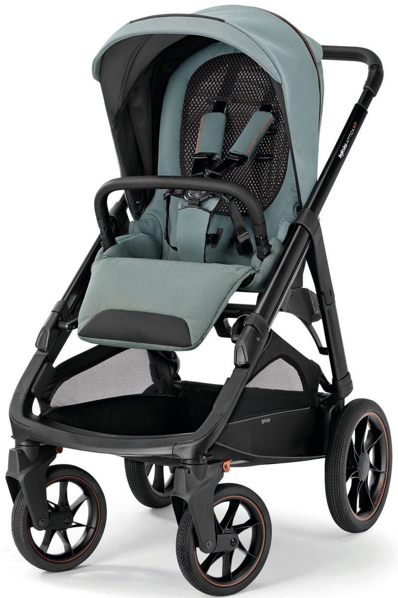 Прогулочная коляска Inglesina Aptica XT 2024  Igloo Grey drwy57umi6oq2eqivbcv3x0y2ds15th5
