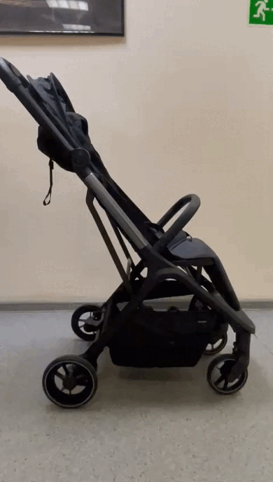 Прогулочная коляска Carrello Nova CRL-5521 Coral Black kbxbkc93s9jd83j09u0rt3shej26y37i