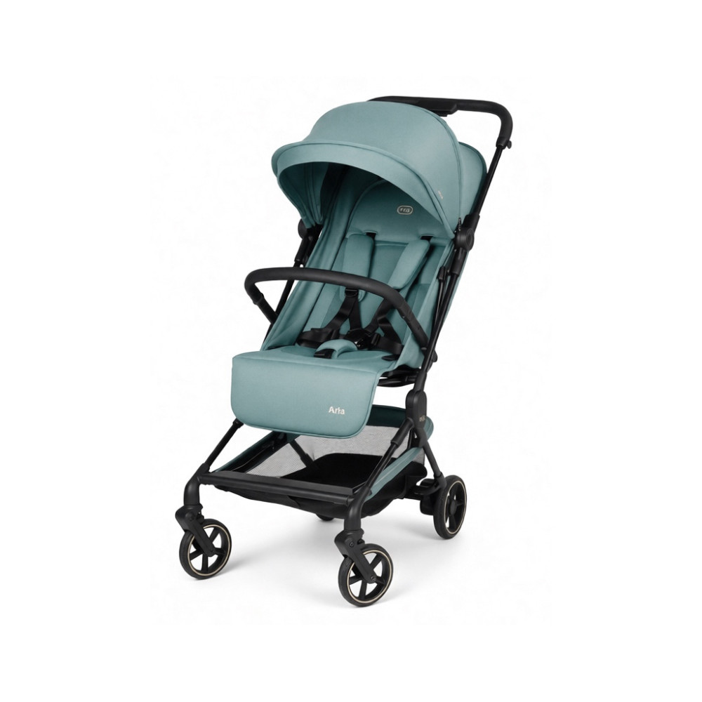 Прогулочная коляска Peg Perego Aria (Jade)