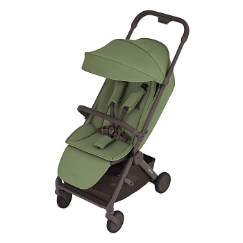 Прогулочная коляска Anex Air-Q ((AQ-05) Pistache)