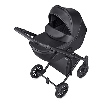 Коляска 3 в 1 Anex e/type ((et-08A) swan)