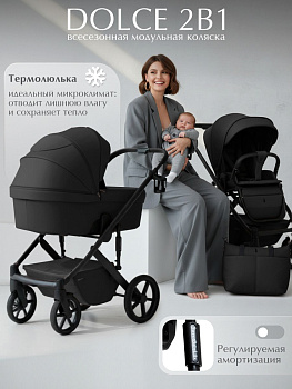 Коляска 2 в 1 Sweet Baby SBL Dolce (Black)