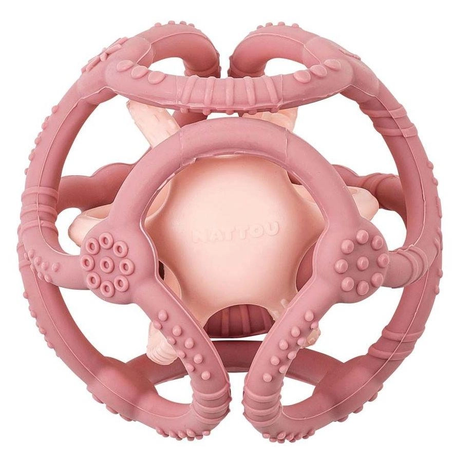 o5by2560ox24bvdpwfexrf0bgzehzant