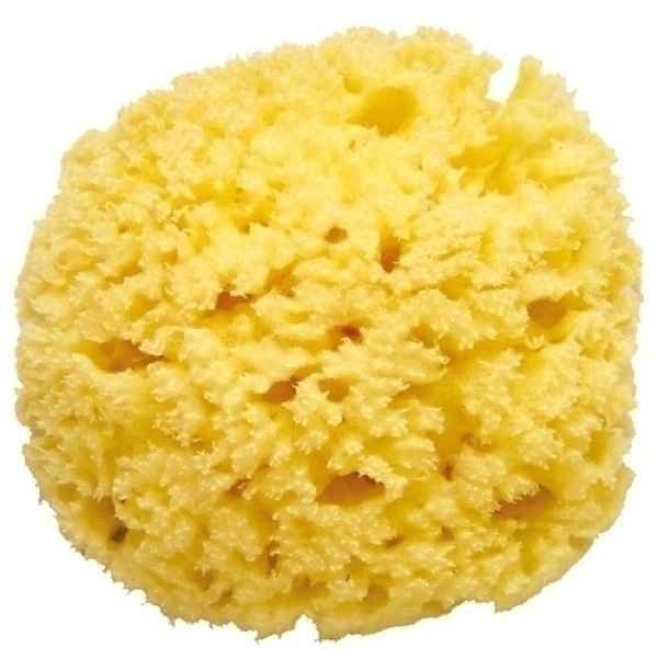 Губка OK Baby морская для купания Honeycomb №12 (стандарт)