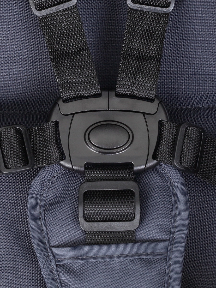 Прогулочная коляска RANT basic ALPINE Graphite z21ndjh94arswxx7pijymp3fgxaz3v7o