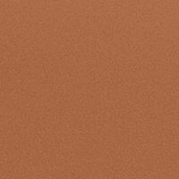 Прогулочная коляска Carrello Nova CRL-5521 Tangelo Orange a9oewsjcs6ww4vxqdigwhad5vj8o73fc