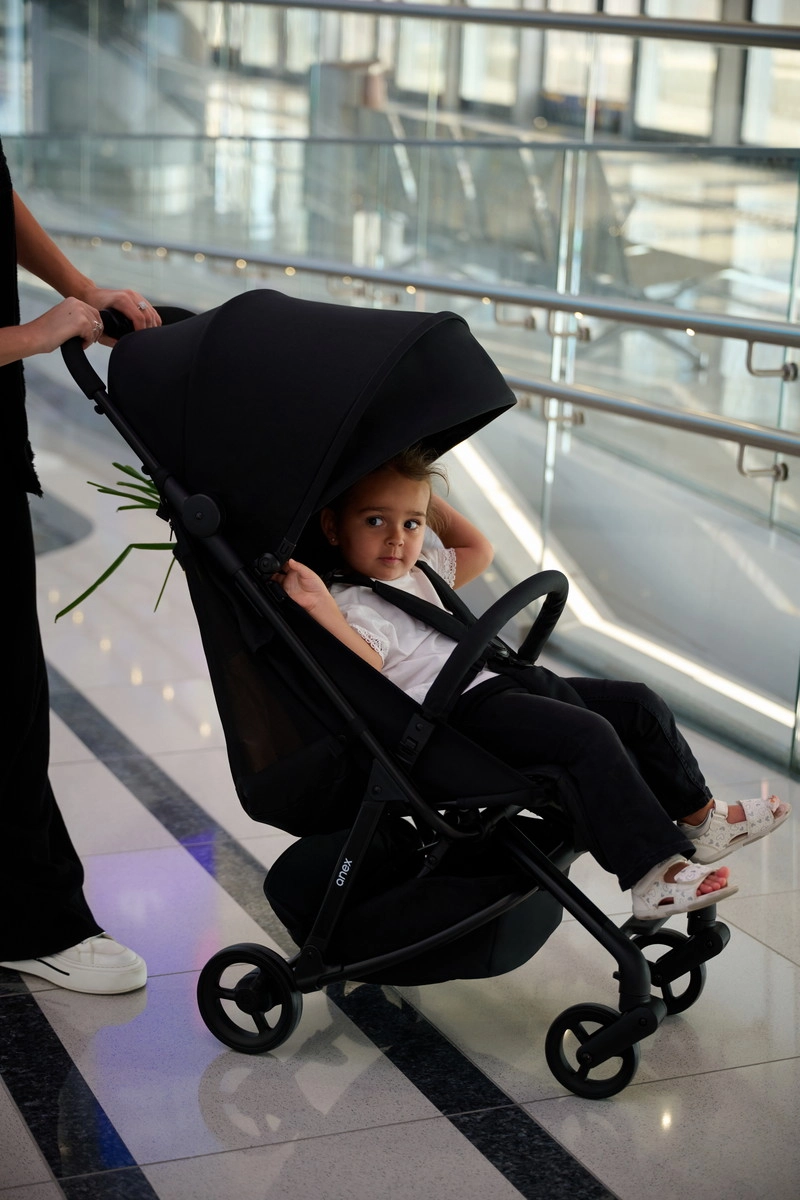 Прогулочная коляска Anex Air-Z (Az-04) space 041butrisn6a2rjp59adxhiosm7oa337