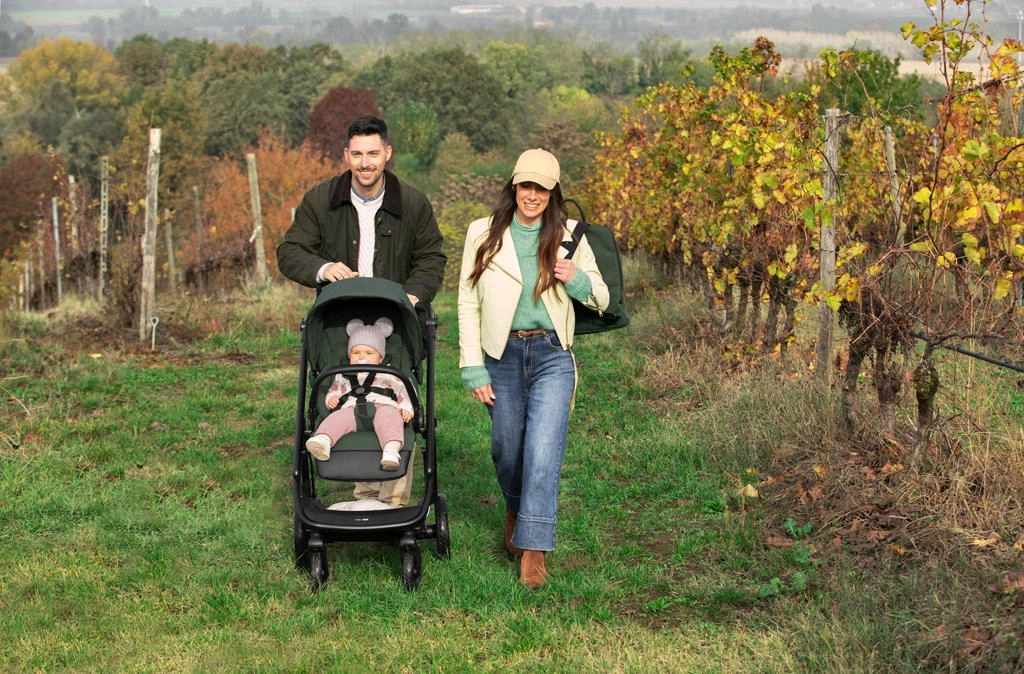 Коляска 3 в 1 Peg Perego Veloce TC Belvedere Lounge Green 8m4dpsmcho4tpe7e47q03xiv9goj0s1n