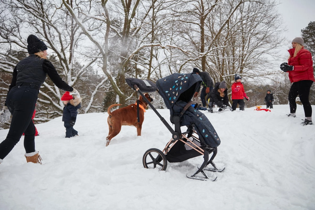 Теплый конверт в коляску Cybex Platinum Footmuff Simply Flowers Pink 8qirdhg4z1e32mzm26w8egj61eprbn61