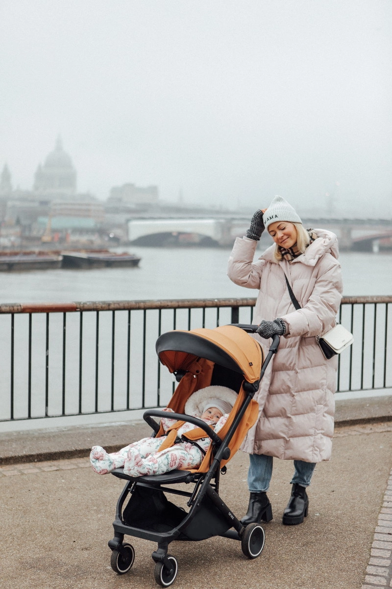 Прогулочная коляска Anex Air-X toffee c4nprfiqeixgklq2rqnxq1dl5ahtqrun