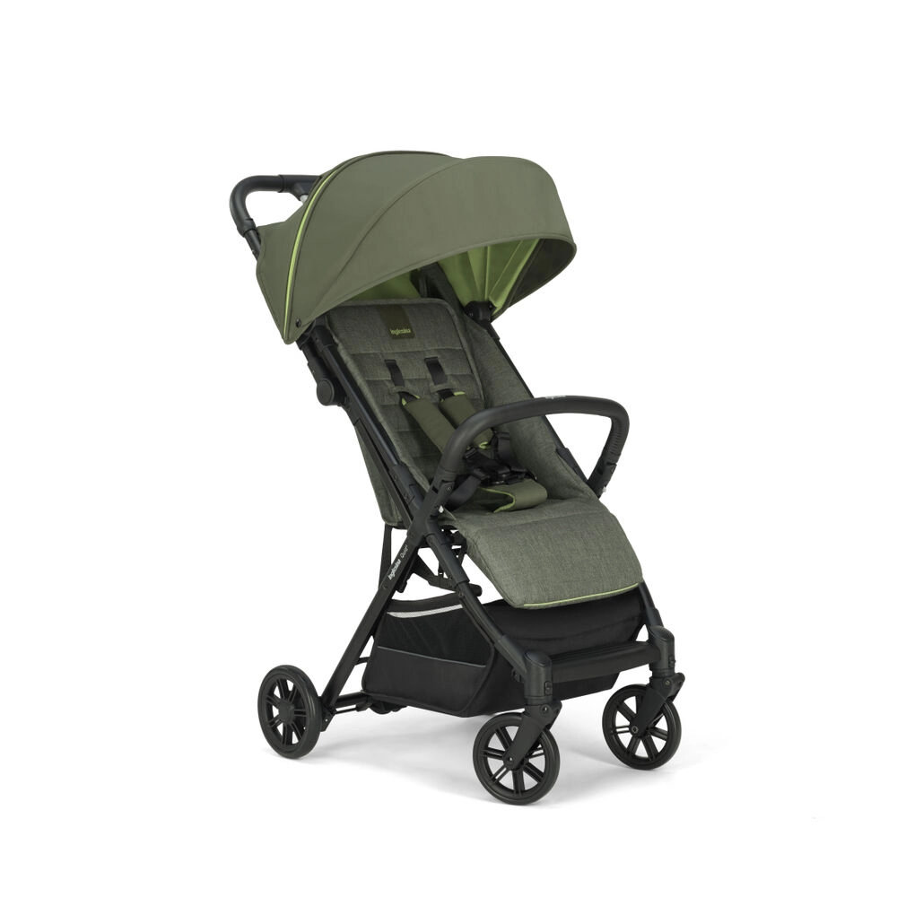Прогулочная коляска Inglesina Quid 2 Gecko Green (2022) 62ca5b69368fdb5a3c52564695056101