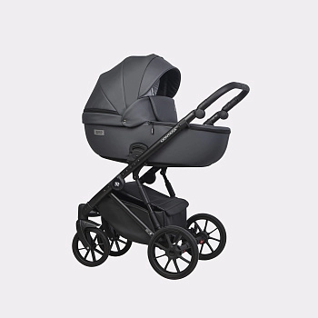 Коляска 2 в 1 RIKO BASIC MONTANA ECCO (24 Graphite (графит))