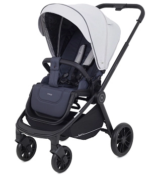 Прогулочная коляска RANT basic ENERGY (Grey)