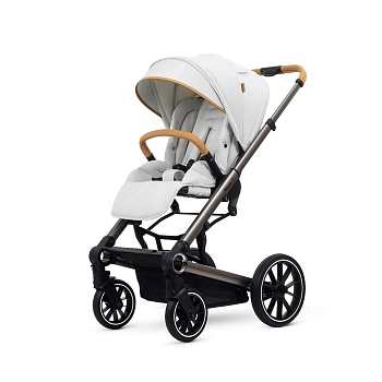 Прогулочная коляска Esspero Tour S (Sahara)