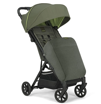 Прогулочная коляска Inglesina Quid 2 (Gecko Green (2022))