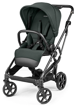 Прогулочная коляска Peg Perego Vivace (Metal)