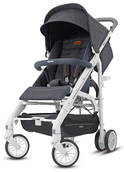 Прогулочная коляска Inglesina Zippy Light (Village Denim)