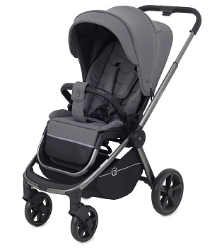 Прогулочная коляска RANT FLEX PRO (Grey)