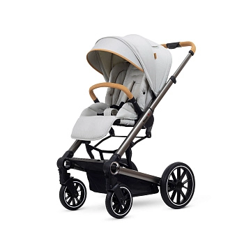 Прогулочная коляска Esspero Tour S (Grey)