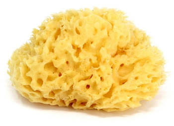 Губка натуральная морская для купания OK Baby Honeycomb