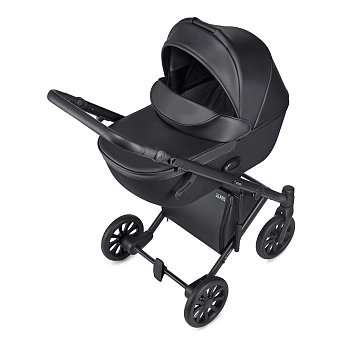 Коляска 3 в 1 Anex e/type ((et-08A) swan)