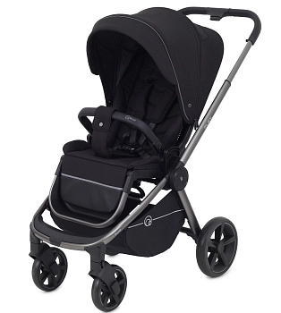 Прогулочная коляска RANT FLEX PRO (Black)