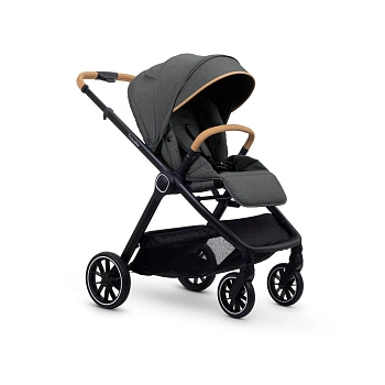 Прогулочная коляска Esspero Traveler (Nordic)