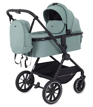 Детская коляска Rant Moss 3 в 1