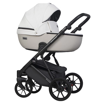 Коляска 2 в 1 RIKO BASIC MONTANA ECCO (32 White-Light Silver (белый-св.серый))
