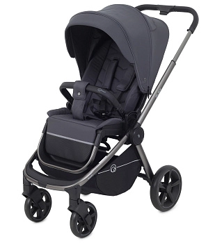 Прогулочная коляска RANT FLEX PRO (Graphite)